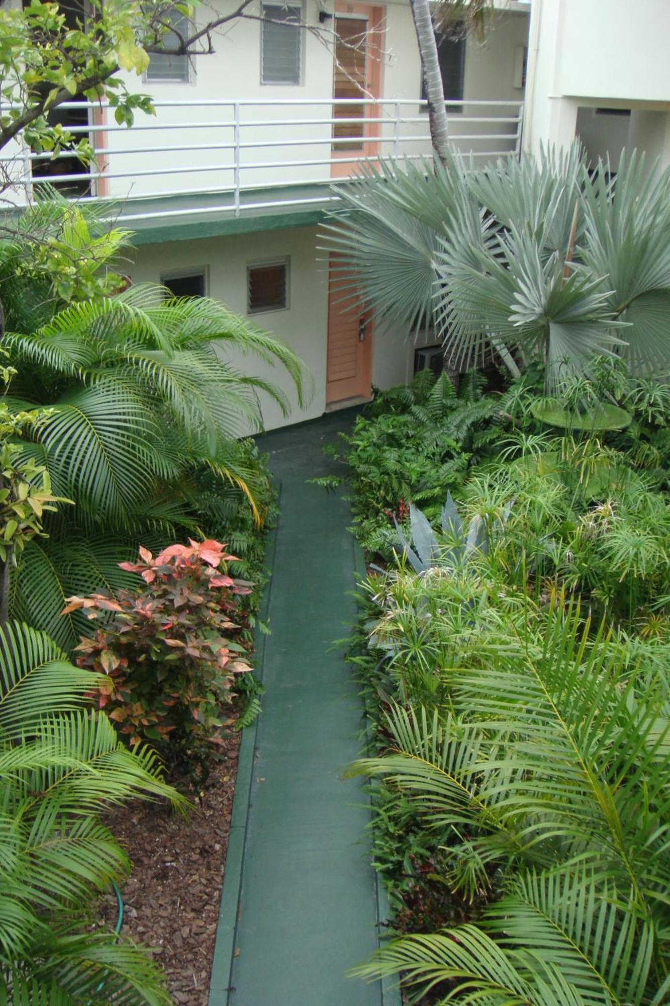 El Patio Motel Key West Eksteriør billede