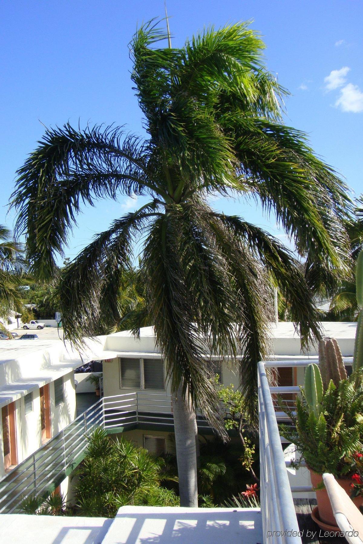 El Patio Motel Key West Eksteriør billede