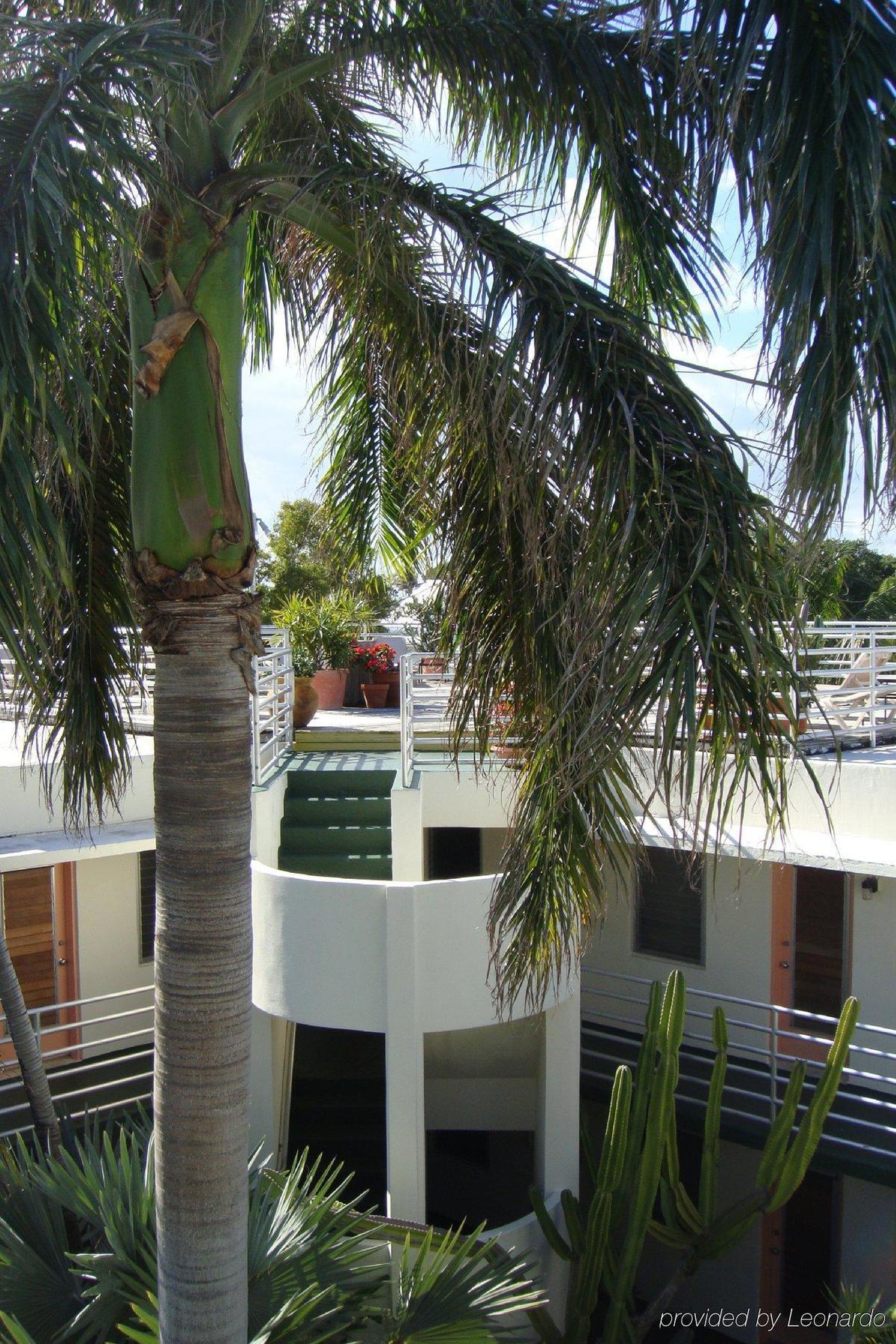 El Patio Motel Key West Eksteriør billede
